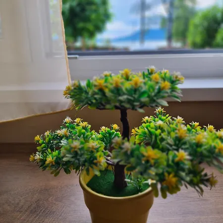 Ferienhaus Vizparti Nyaralo Fonyód
