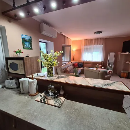 Vizparti Nyaralo Holiday home