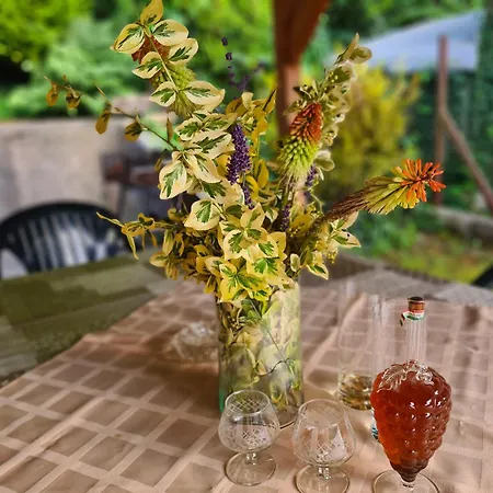 Ferienhaus Vizparti Nyaralo