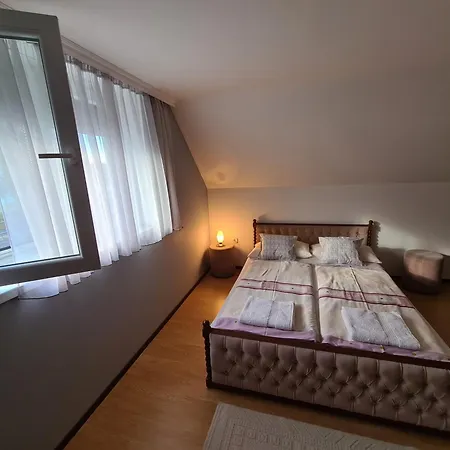Vizparti Nyaralo Holiday home *